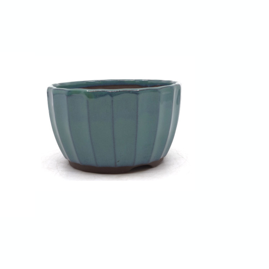 Vaso per bonsai verde con crisantemi 15cm