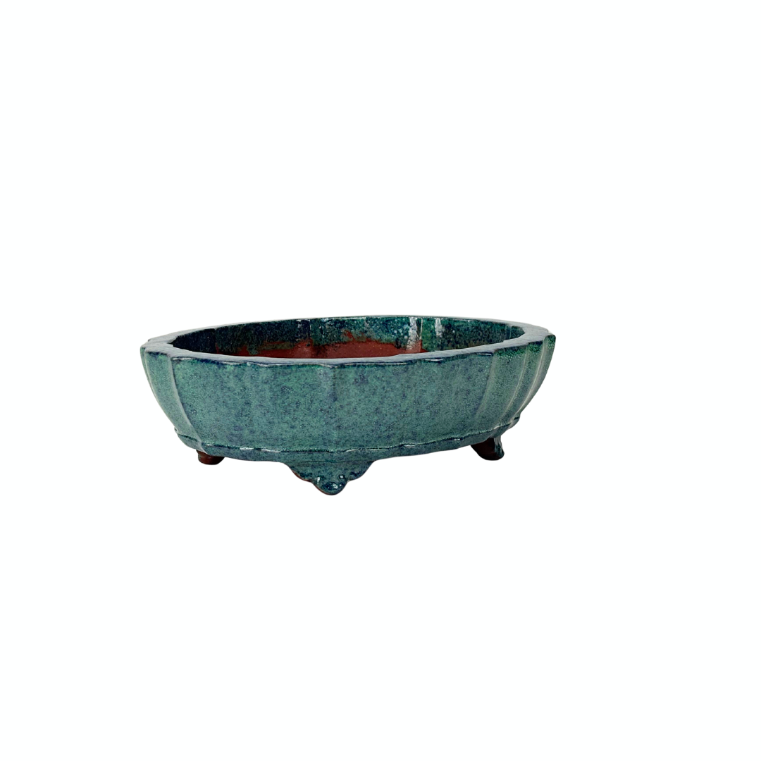 Vaso per bonsai blu verde crisantemo 17 cm