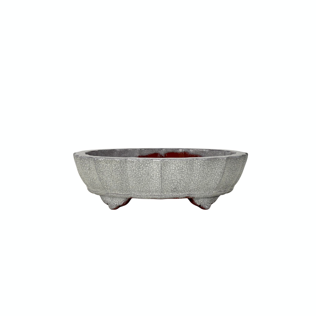 Bonsai pot wit grijs craquelé chrysant 17cm
