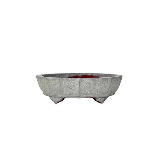 Bonsai pot wit grijs craquelé chrysant 17cm