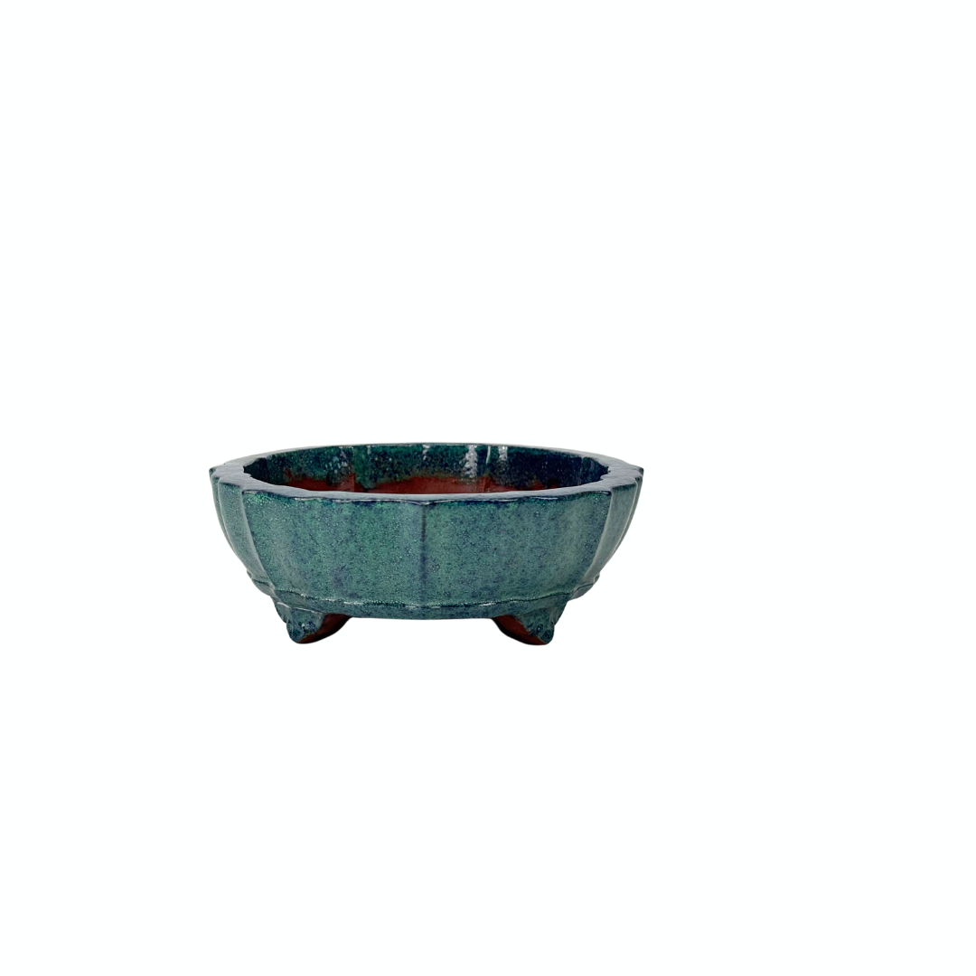 Vaso per bonsai blu verde crisantemo 17 cm
