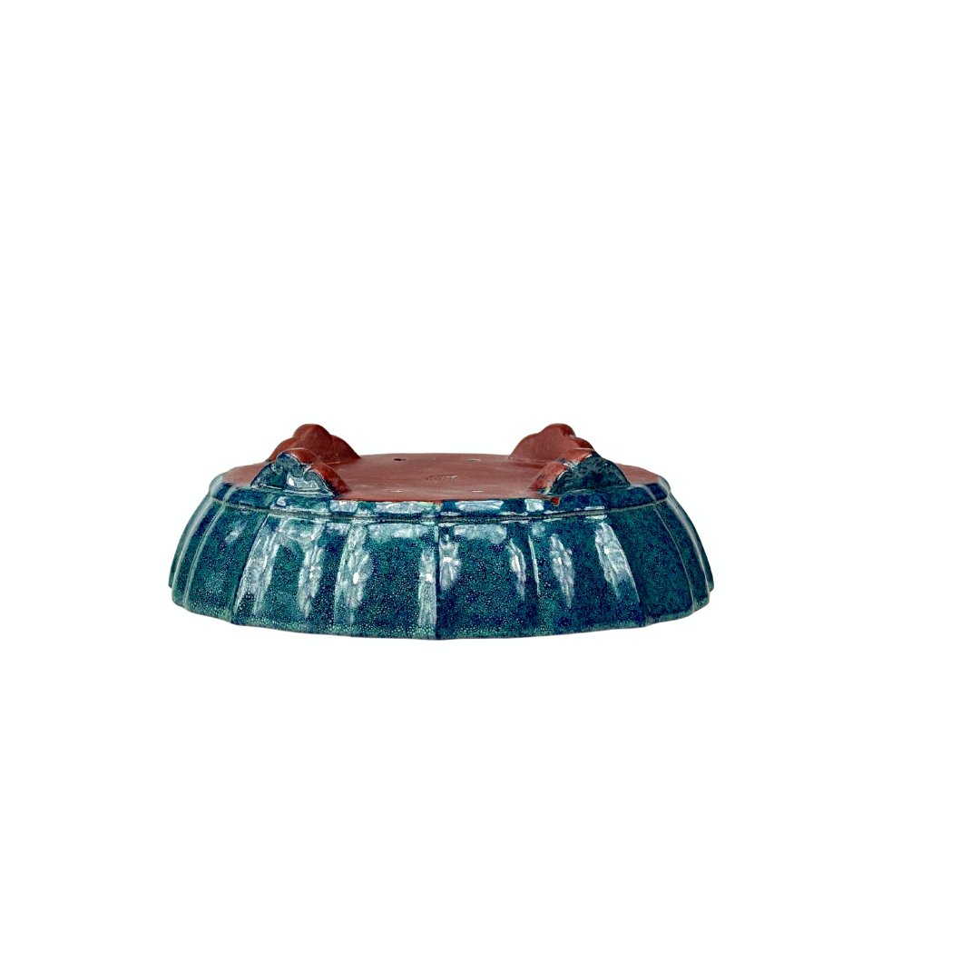 Vaso per bonsai blu verde crisantemo 17 cm