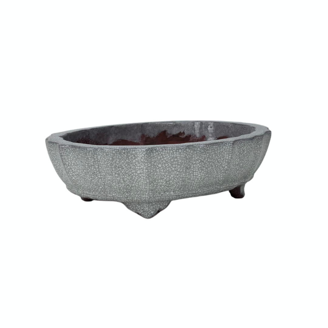 Vaso per bonsai bianco grigio craquelé crisantemo 17 cm