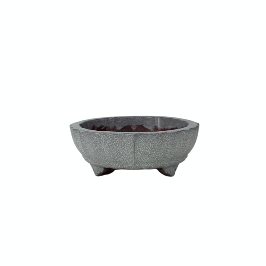 Vaso per bonsai bianco grigio craquelé crisantemo 17 cm