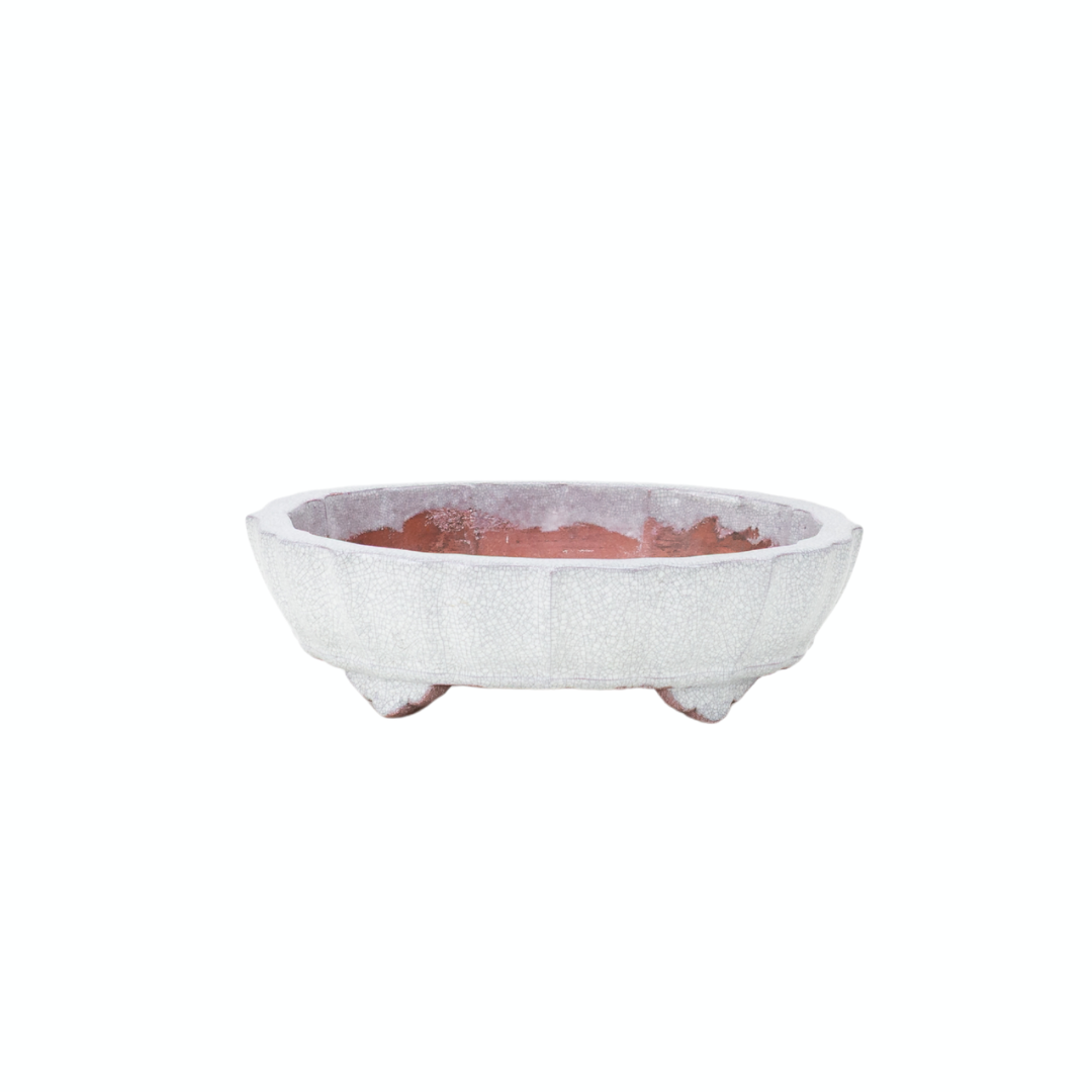 Vaso per bonsai bianco grigio craquelé crisantemo 17 cm