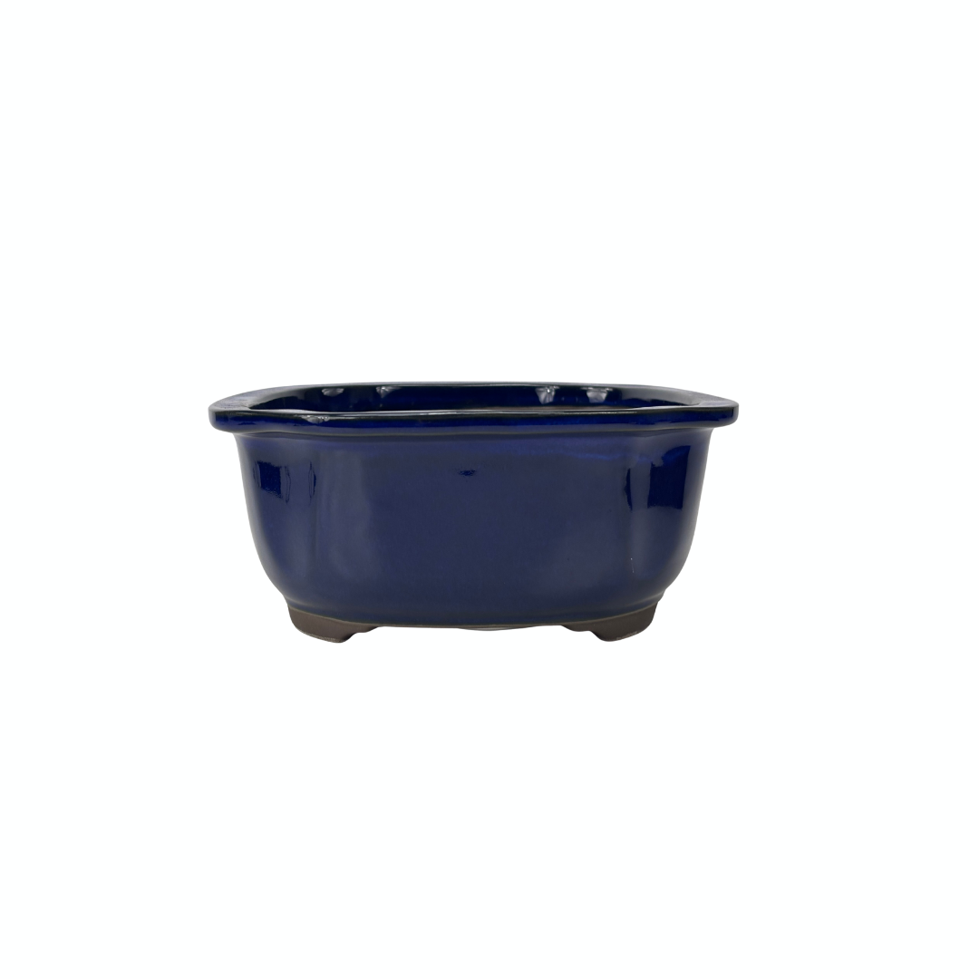 Vaso per bonsai mokko blu 28 cm