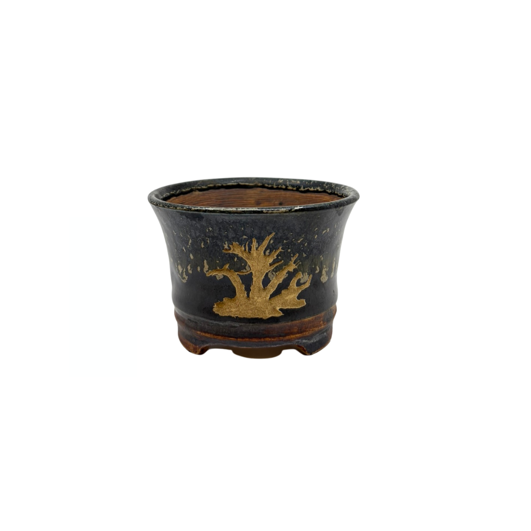 Vaso per bonsai Shohin nero con oro René Lecocq 9cm