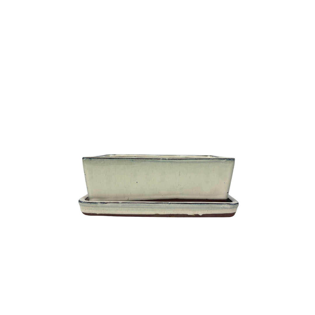 Bonsai pot creme rechthoekige 15.5cm - set