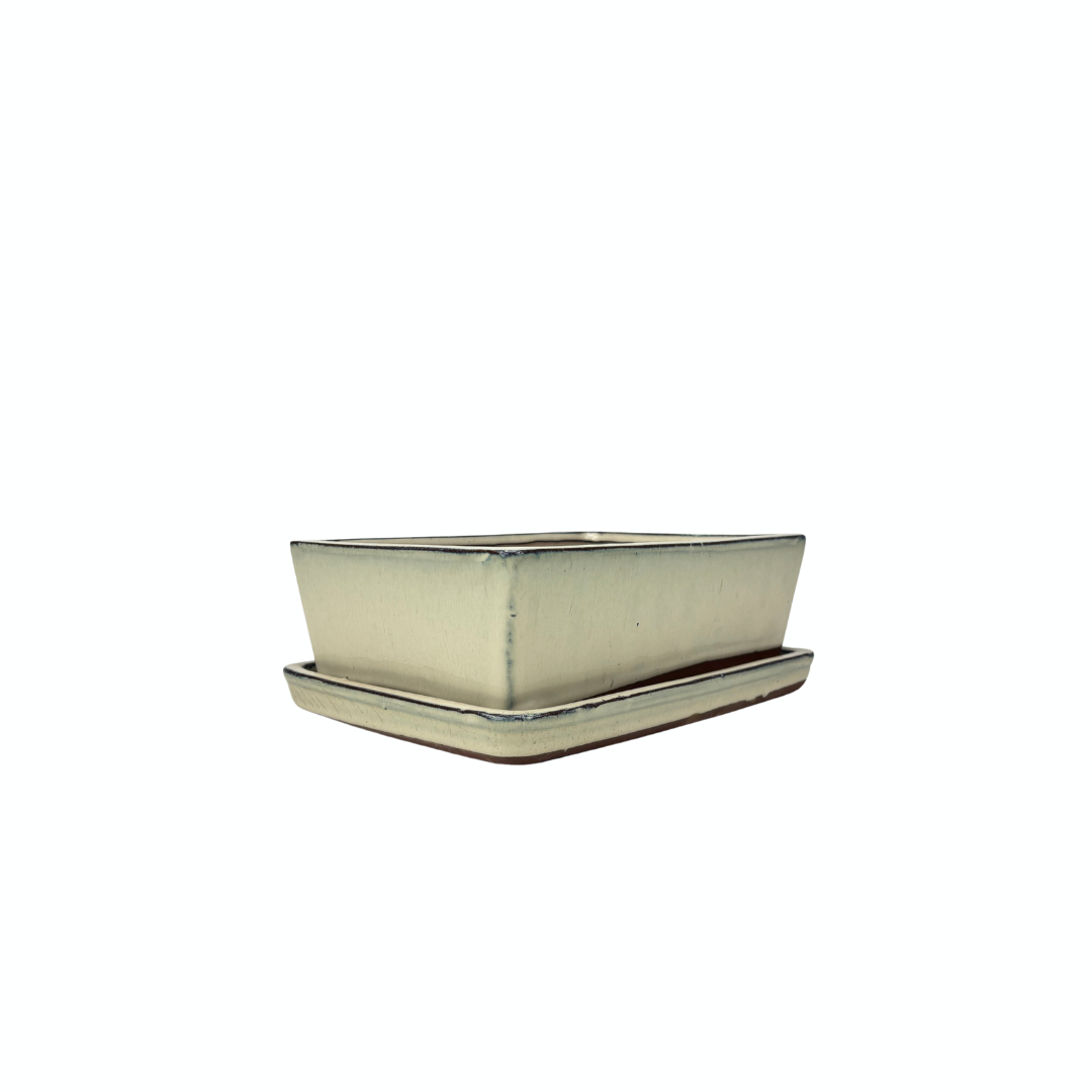 Vaso per bonsai crema rettangolare 15cm - set