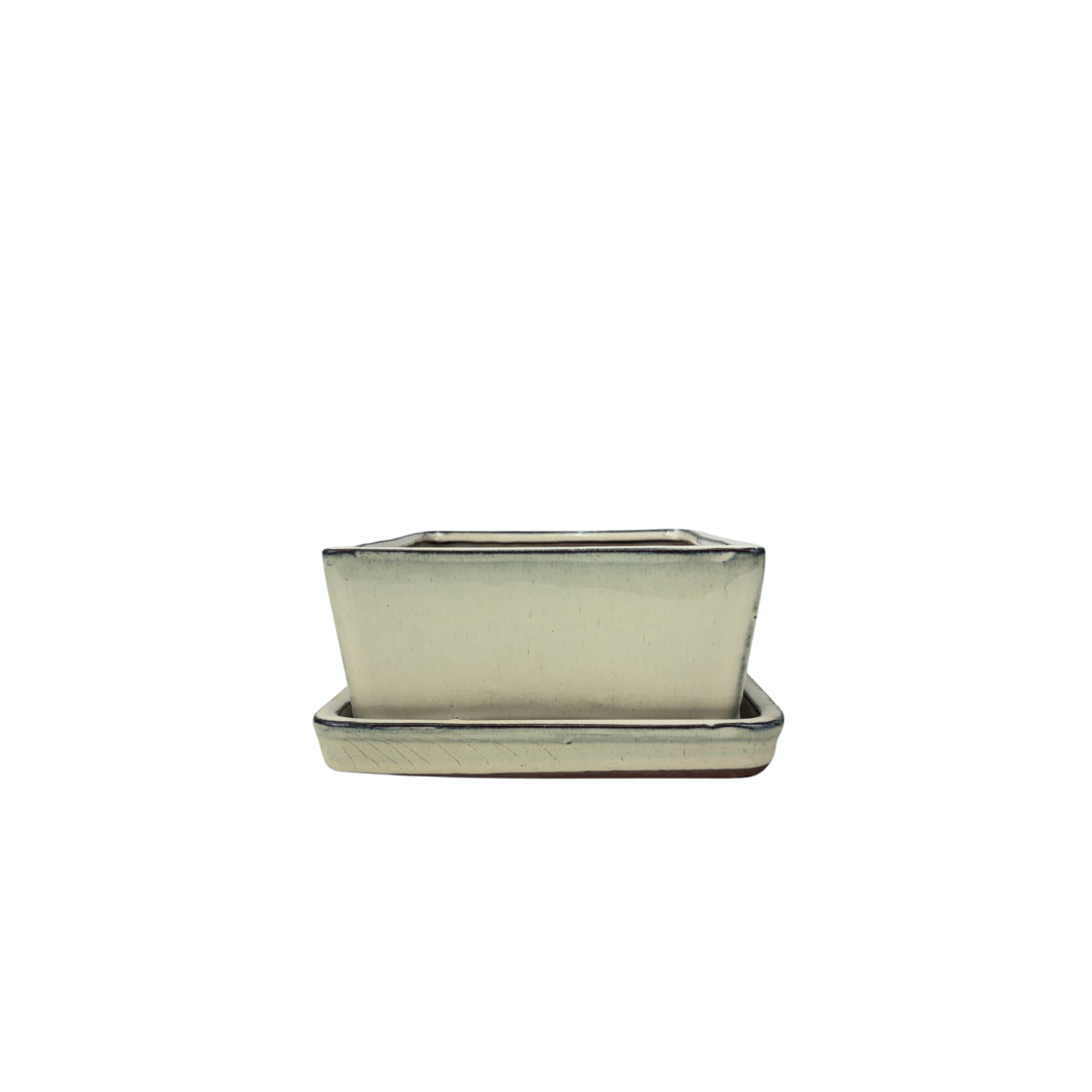 Vaso per bonsai crema rettangolare 15cm - set