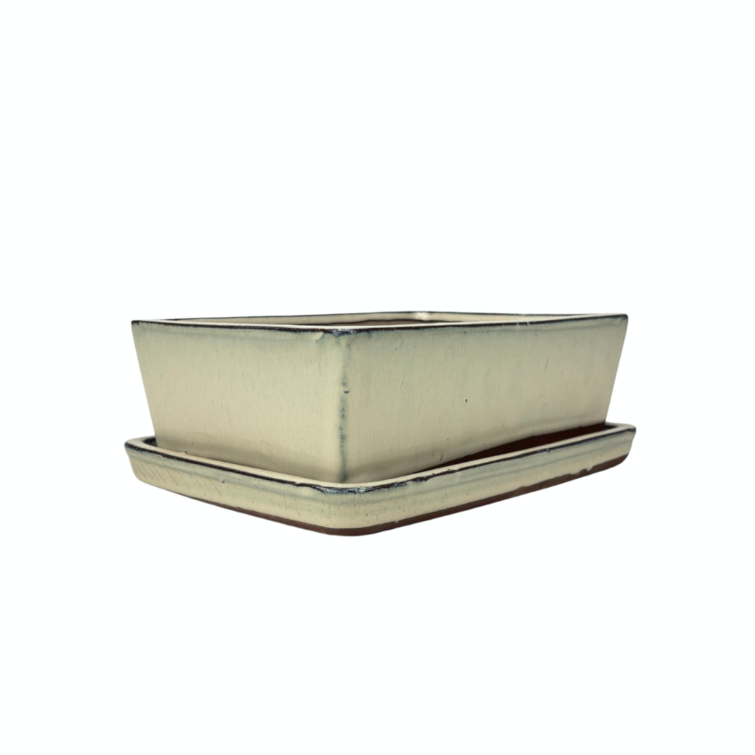 Vaso per bonsai crema rettangolare 25cm - set