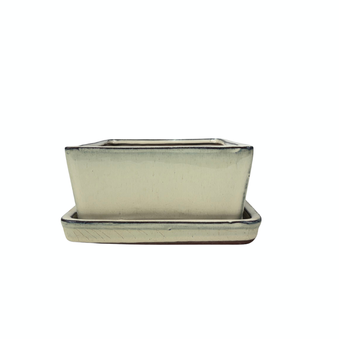 Vaso per bonsai crema rettangolare 25cm - set