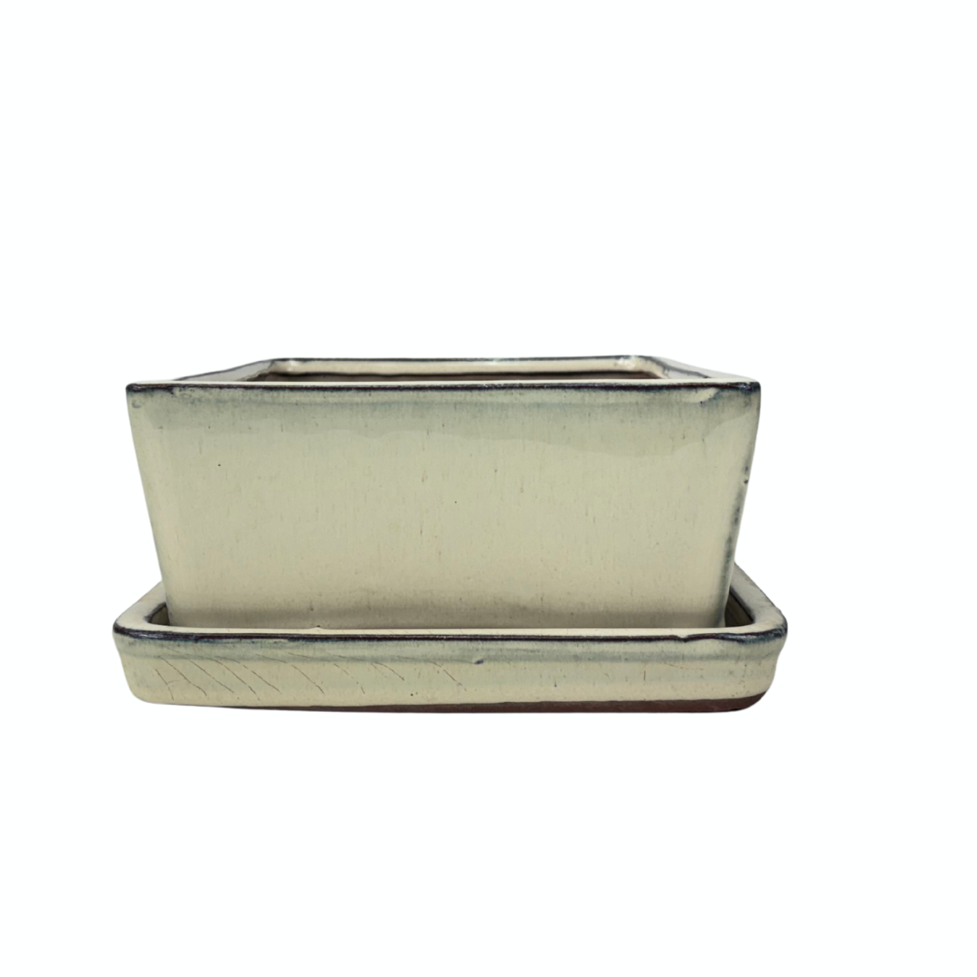 Vaso per bonsai rettangolare crema 30cm - set