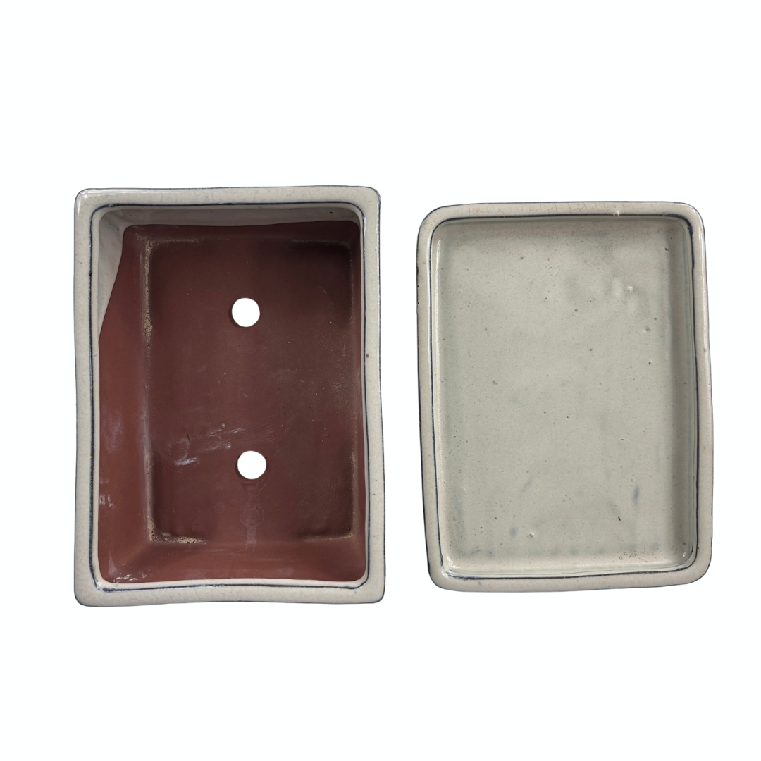 Vaso per bonsai crema rettangolare 25cm - set
