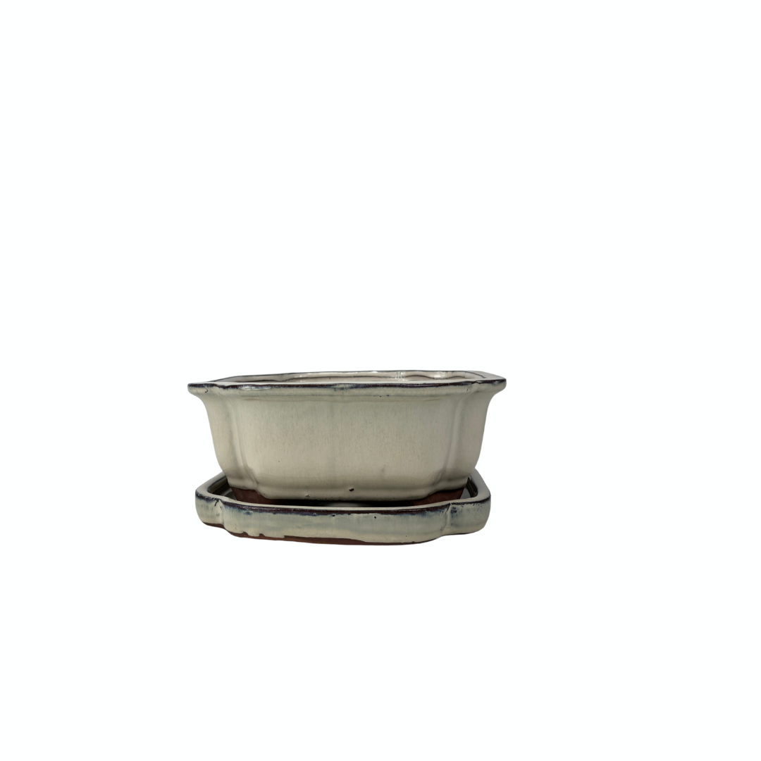 Vaso per bonsai color crema mokko 16cm - set