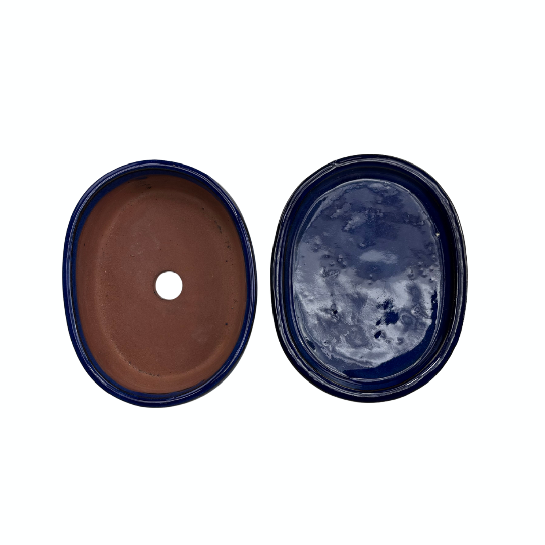 Vaso per bonsai blu ovale 16cm - set