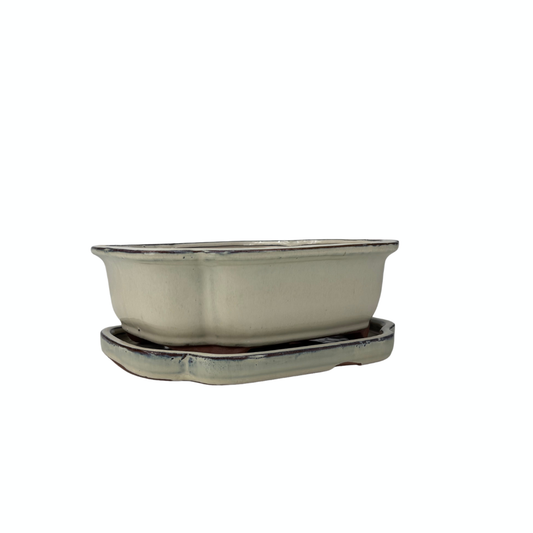Vaso per bonsai color crema mokko 32cm - set