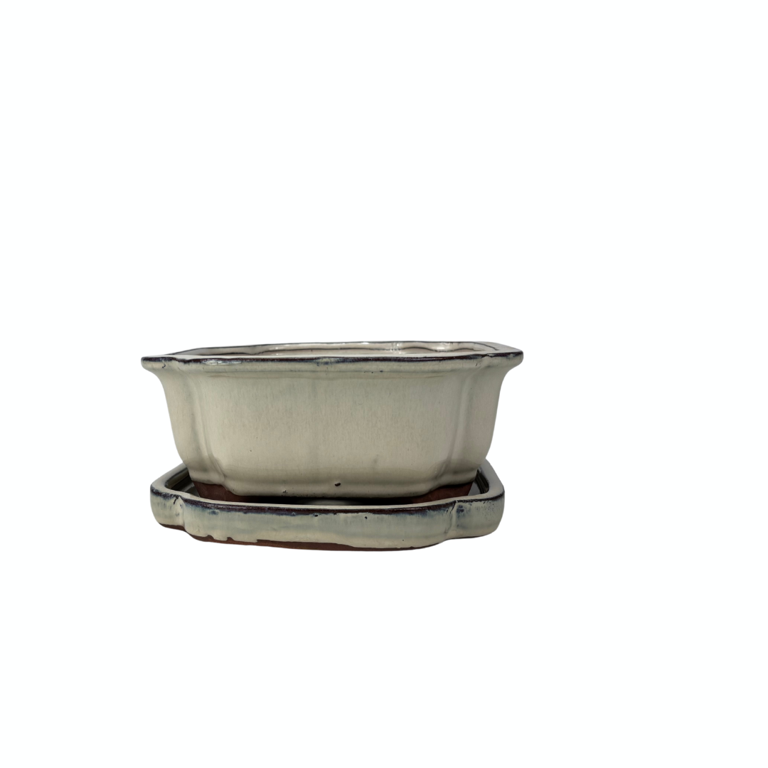 Vaso per bonsai color crema mokko 32cm - set