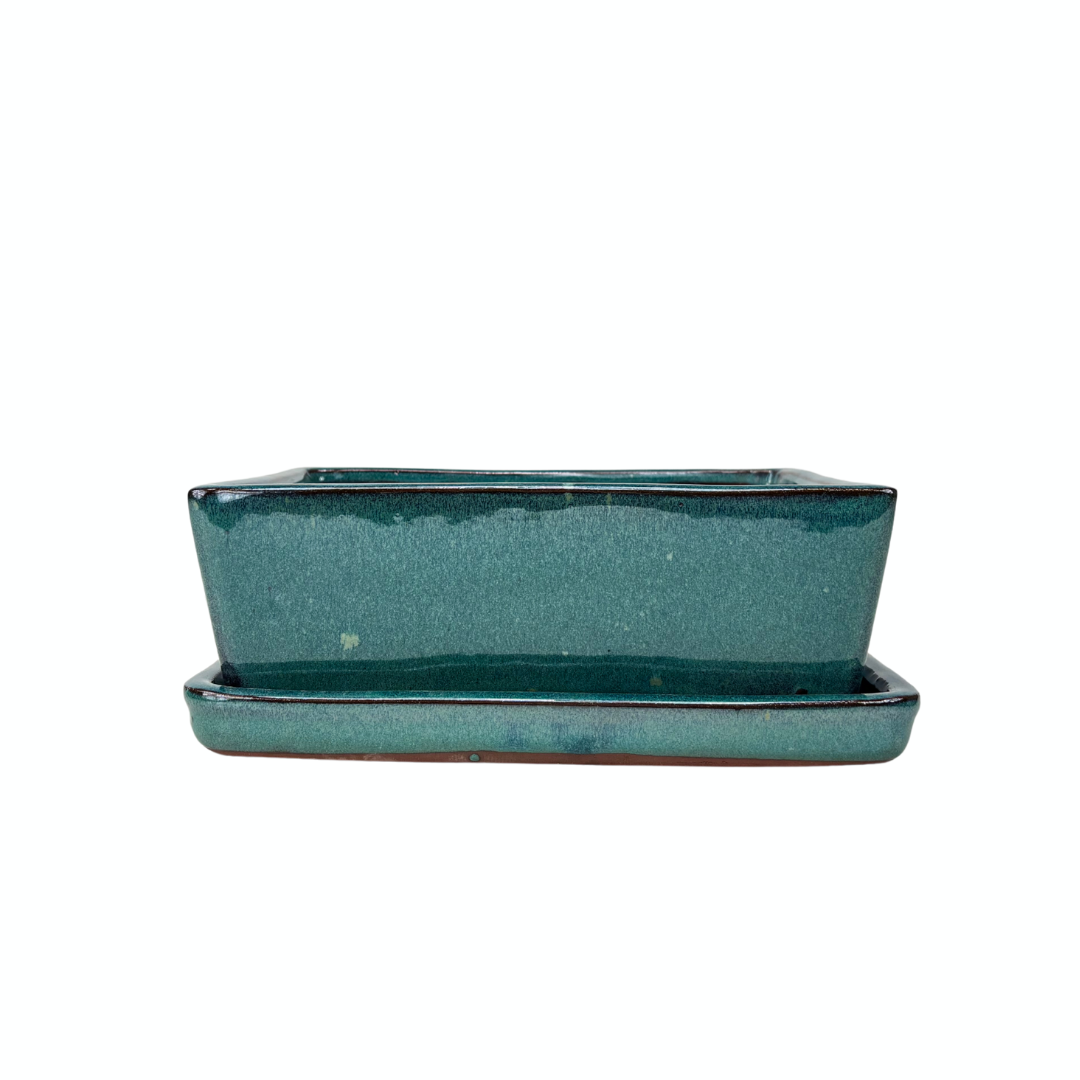 Bonsai pot creme rechthoekige 15.5cm - set