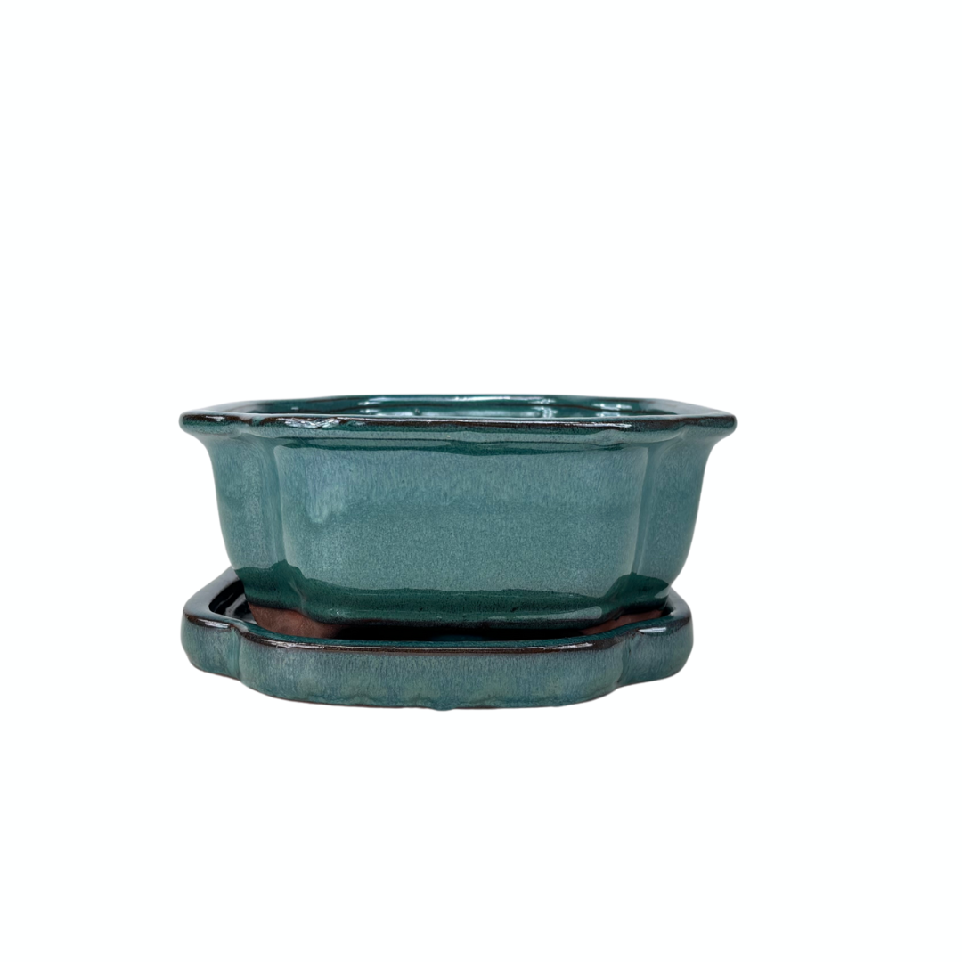 Vaso per bonsai mokko verde 26cm - set