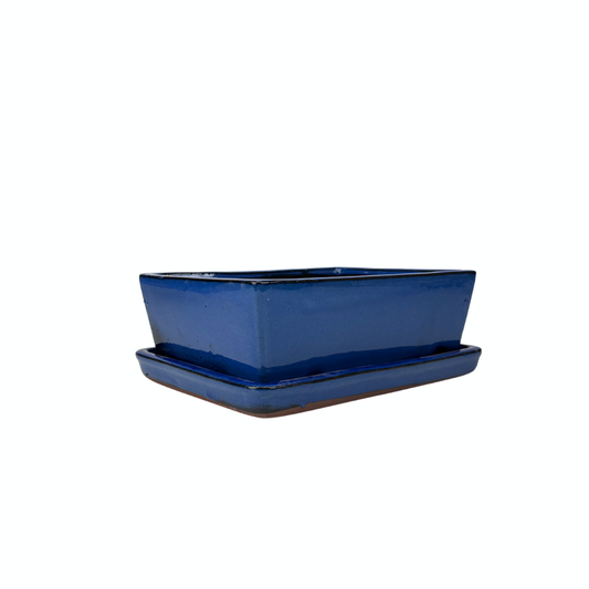 Vaso per bonsai blu rettangolare 30cm - set
