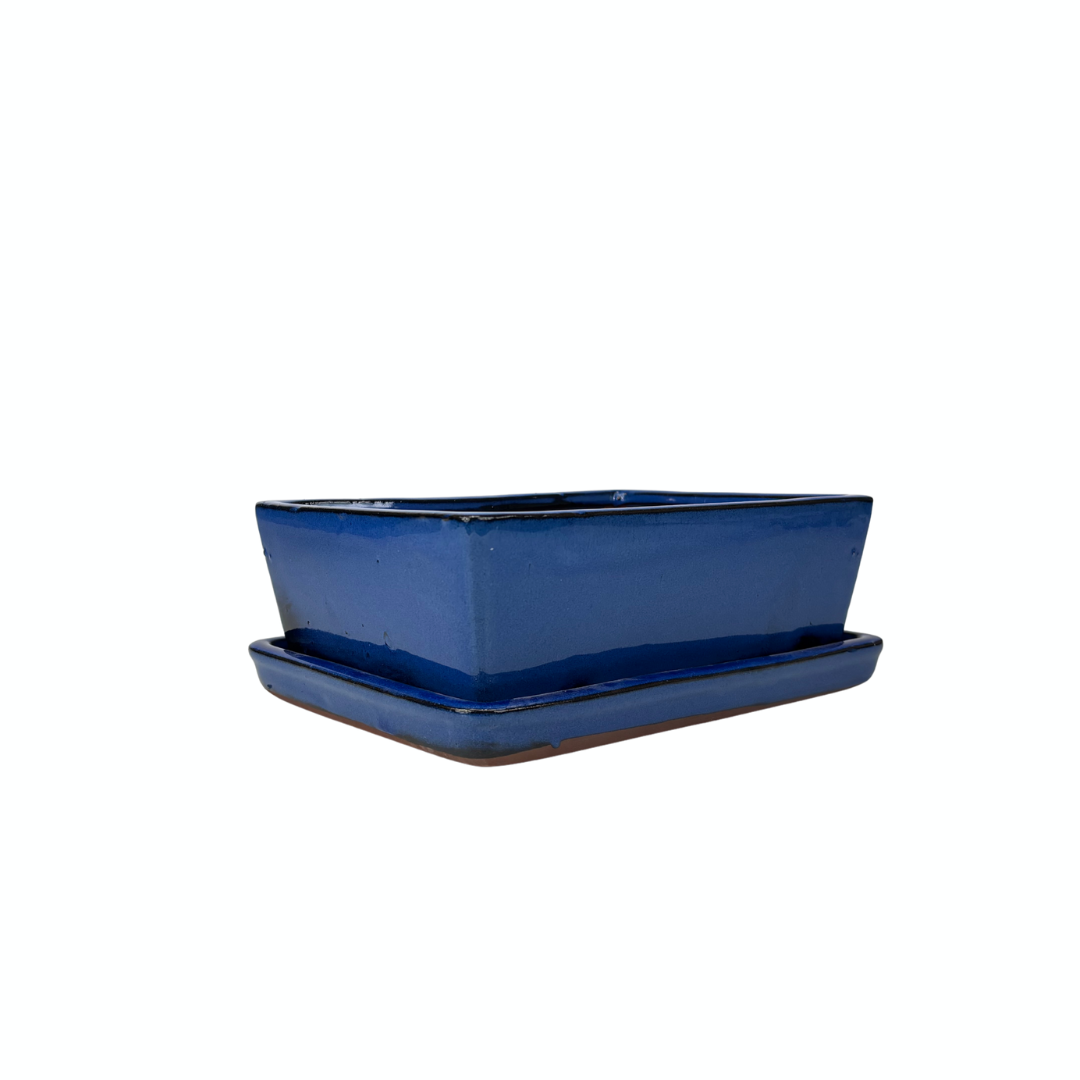 Vaso per bonsai blu rettangolare 24cm - set
