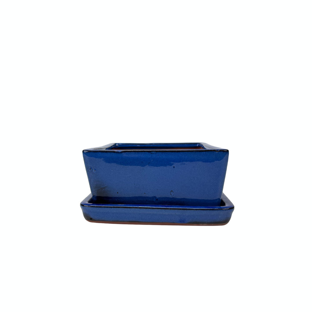 Vaso per bonsai blu rettangolare 30cm - set
