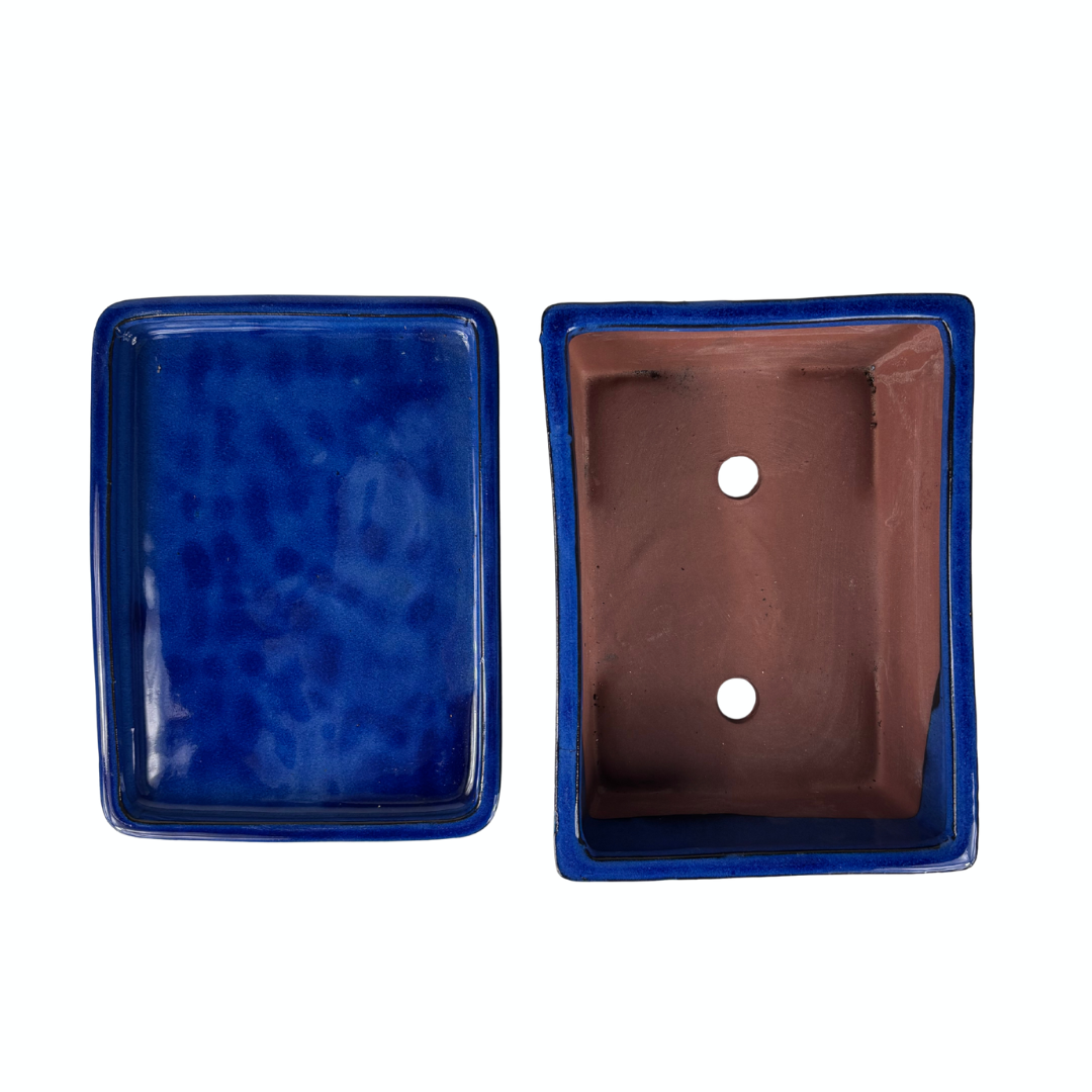 Vaso per bonsai blu rettangolare 24cm - set