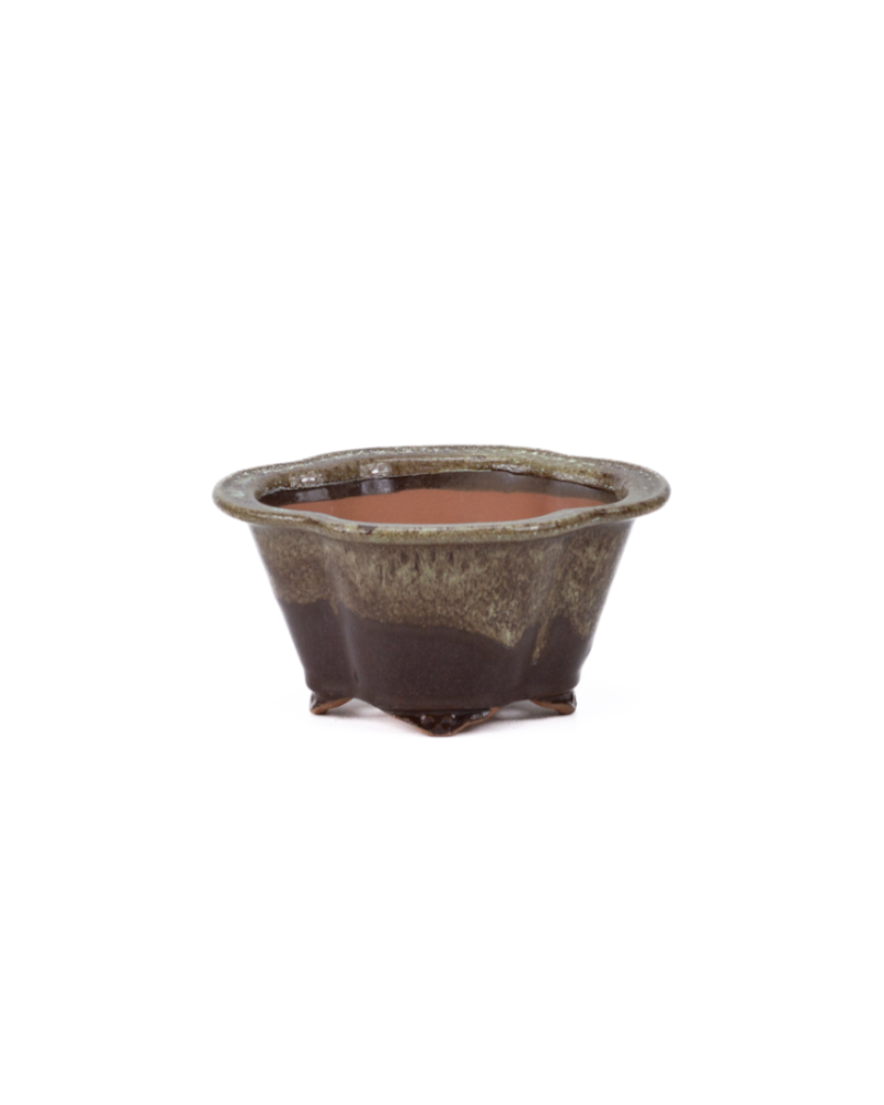 Bonsai pot chrysanten bruin beige 15.5cm